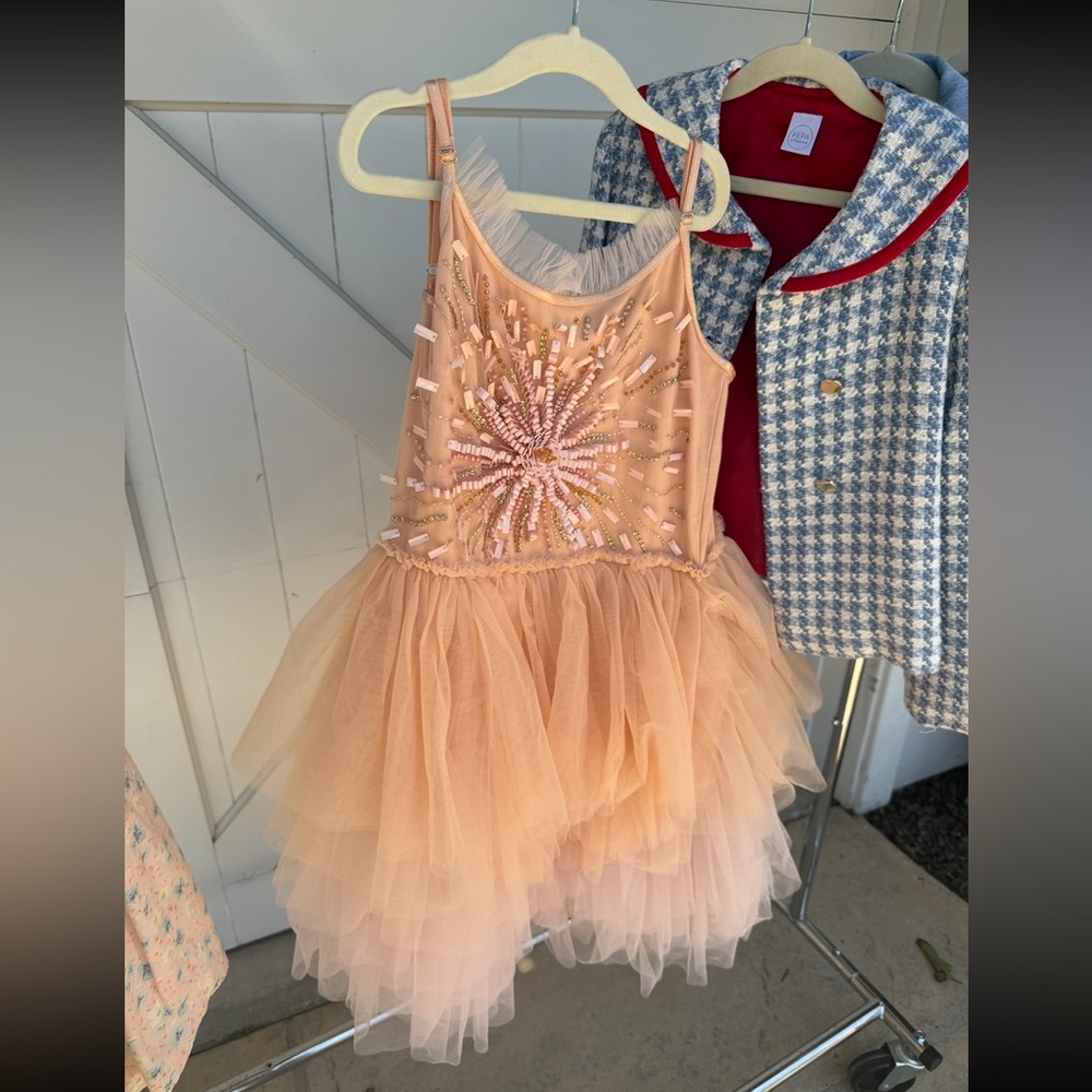 Tutu du Monde Blush Tulle Dress